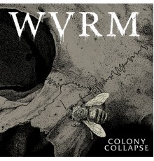 WVRM - Colony Collapse