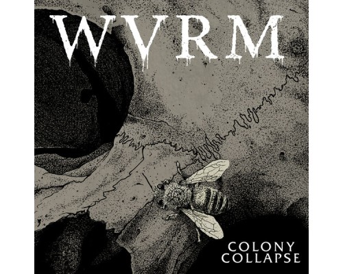 WVRM - Colony Collapse