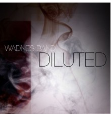 Wadnes Band - Diluted (Original Mix)