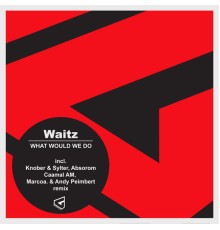 Waitz - What Would We Do