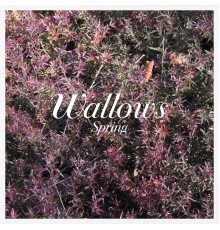 Wallows - Spring EP