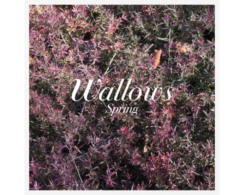 Wallows - Spring EP