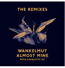 Wankelmut - Almost Mine (The Remixes)