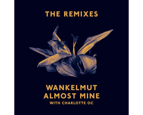 Wankelmut - Almost Mine (The Remixes)