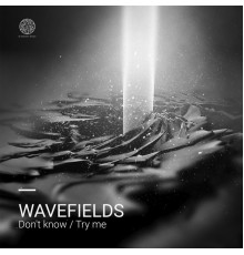 Wavefields - Don't Know / Try Me