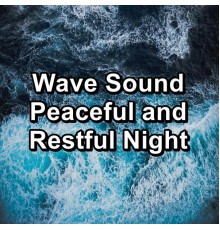 Waves, Sea Sounds, Beach Sounds, Paudio - Wave Sound Peaceful and Restful Night