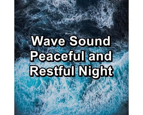 Waves, Sea Sounds, Beach Sounds, Paudio - Wave Sound Peaceful and Restful Night Waves, Sea Sounds, Beach Sounds, Paudio - Wave Sound Peaceful and Restful Night