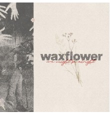 Waxflower - We Might Be Alright