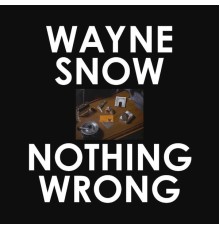 Wayne Snow - Nothing Wrong Remixes