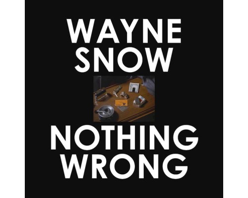 Wayne Snow - Nothing Wrong Remixes