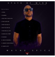 Wayne Spice - State of Mind