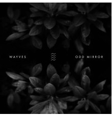 Wayves - Odd Mirror