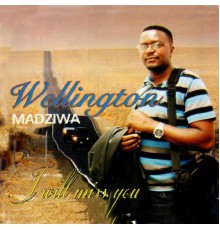 Wellington Madziwa - I Will Miss You
