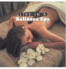 Wellness Spa Music Oasis - Like in a Balinese Spa: Exotic Nature Sounds, Spa Relaxation, Tropical Mind Body Regeneration
