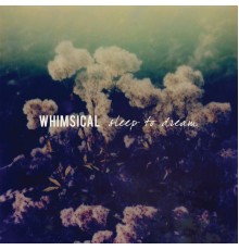 Whimsical - Sleep to Dream