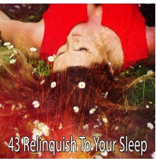 White Noise Babies - 43 Relinquish to Your Sleep