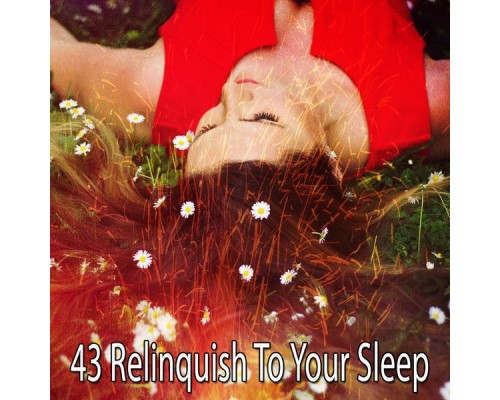 White Noise Babies - 43 Relinquish to Your Sleep White Noise Babies - 43 Relinquish to Your Sleep
