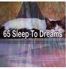 White Noise Babies - 65 Sleep to Dreams