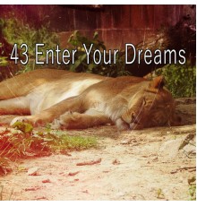 White Noise Babies - 43 Enter Your Dreams