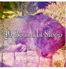 White Noise Babies - 49 Bound in Sle - EP