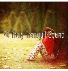 White Noise Babies - 74 Truly Tranquil Sound