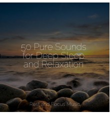 White Noise Relaxation, Study Music & Sounds, Música Zen Relaxante - 50 Pure Sounds for Deep Sleep and Relaxation
