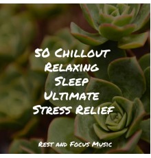 White Noise Sleep Sounds, Relaxing Spa Music, Meditação Clube - 50 Chillout Relaxing Sleep Ultimate Stress Relief