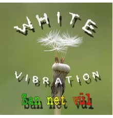 White Vibration - San Net Vül