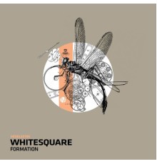 Whitesquare - Formation