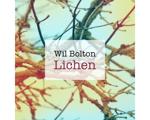 Wil Bolton - Lichen