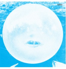 Wilco - summerteeth  (Deluxe Edition)