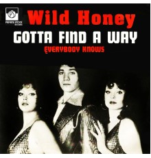 Wild Honey - Gotta Find a Way