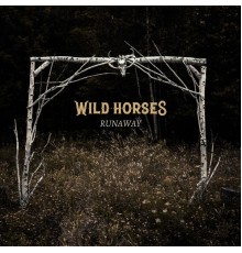 Wild Horses - Runaway