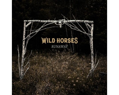 Wild Horses - Runaway