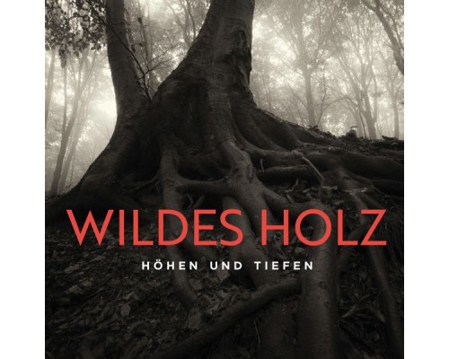 Wildes Holz - Höhen und Tiefen