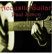 Wildlife - Acoustic Guitar Paul Simon