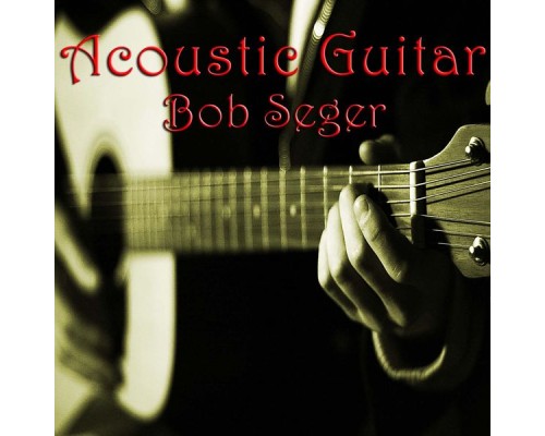 Wildlife - Acoustic Guitar Bob Seger