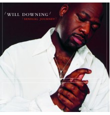 Will Downing - Sensual Journey