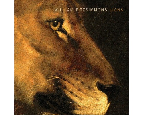 William Fitzsimmons - Lions