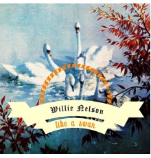 Willie Nelson - Like A Swan