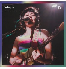 Wimps - Wimps on Audiotree Live