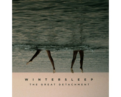 Wintersleep - The Great Detachment