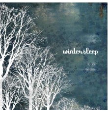 Wintersleep - Wintersleep