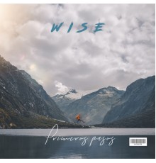 Wise - Primeros Pasos