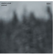 Wladimir Schall - Platzkart