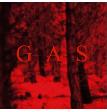 Wolfgang Voigt - GAS