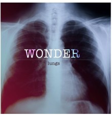 Wonder - Lungs