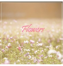 Wonderboy - Flowers