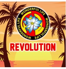 Wonderful Life - Revolution