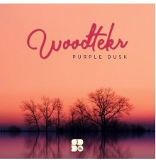 Woodtekr - Purple Dusk (Original Mix)